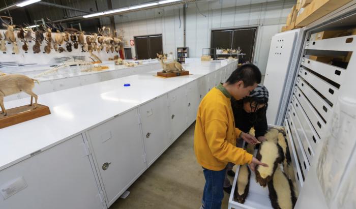 Texas A&M expands scientific access to biodiversity data