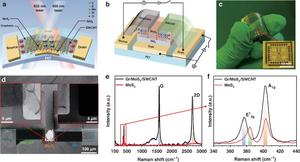 Structure and characterization of the gate-tunable flexible photodetector based on Gr/MoS2/SWCNT asymmetric heterostructure.