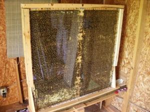 Quantifying the honey bee dance floor: A data-driven method for defining and comparing waggle dance regions