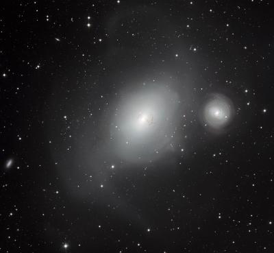 The Contrasting Galaxies NGC 1316 and 1317