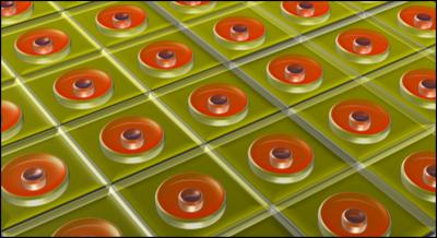 Active Layer of Polymer Solar Cell
