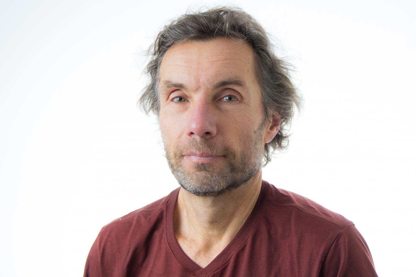 Toomas Timpka, Professor, Linköping University