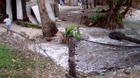 High Sea Level Impacts Communities