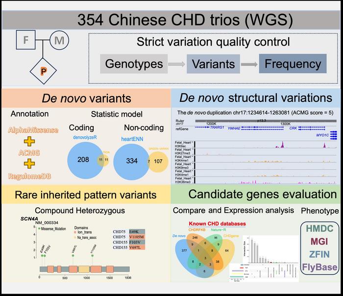 Framework for Genome Research on Congenital Heart Disease in Chinese Children