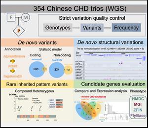 Framework for Genome Research on Congenital Heart Disease in Chinese Children