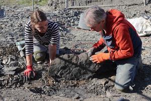 Excavation Site in Mistelgau, Germany