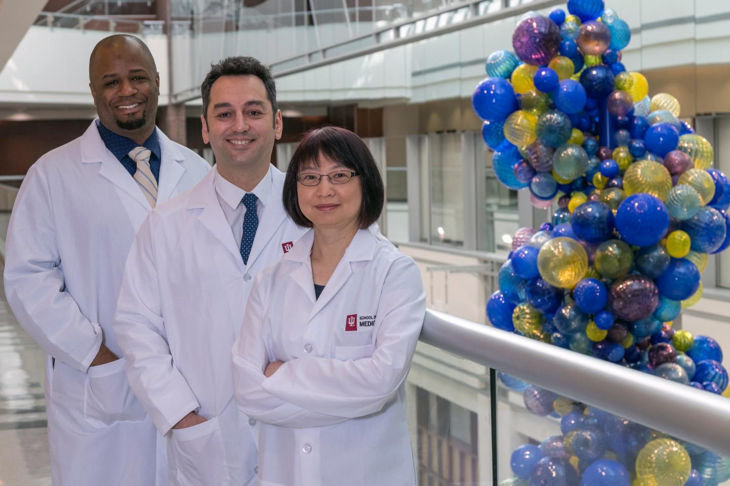 Xenotransplantation Research Team
