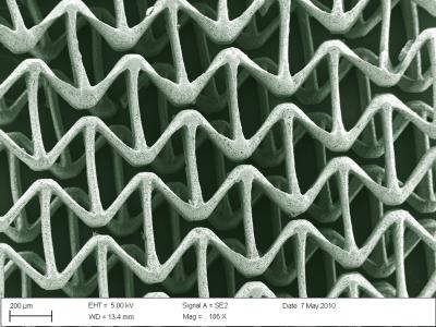 Polyethylene Glycol Scaffolds (1 of 2)