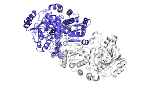 How 'juggling' helps an enzyme speed carbon fixation