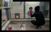 Ape Watching Revenge Film