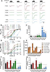 Re-evaluation of functional changes in representative GABRA1 variants from each group defined by the ΔlogEC50 method