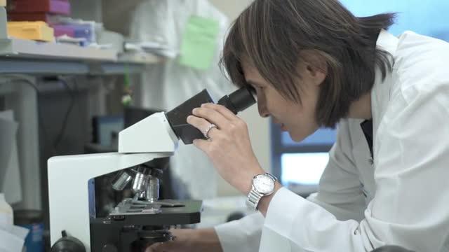 Triple Negative Breast Cancer Discovery