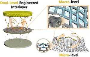 Dual-Level Engineering for High-Performance Batteries