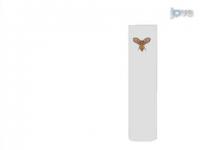 A Low-cost Method for Analyzing Seizure-like Activity and Movement in <I>Drosophila</I>