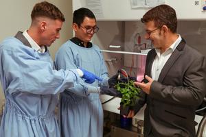 The team from Flinders' Biomedical Nanoengineering Laboratory