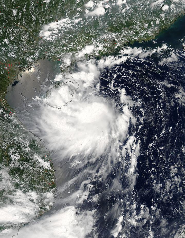 Aqua Image of Mirinae
