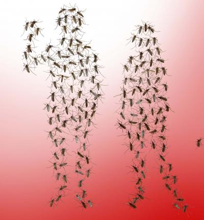 Mosquitoes