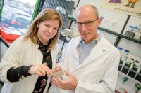 Bochum Research Team