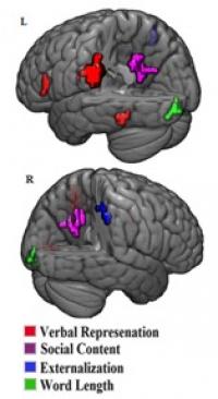 Brain Imaging