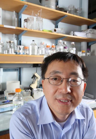 Xiaoqi Liu,   	 Purdue University 