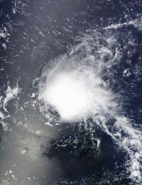 Terra Image of Danny