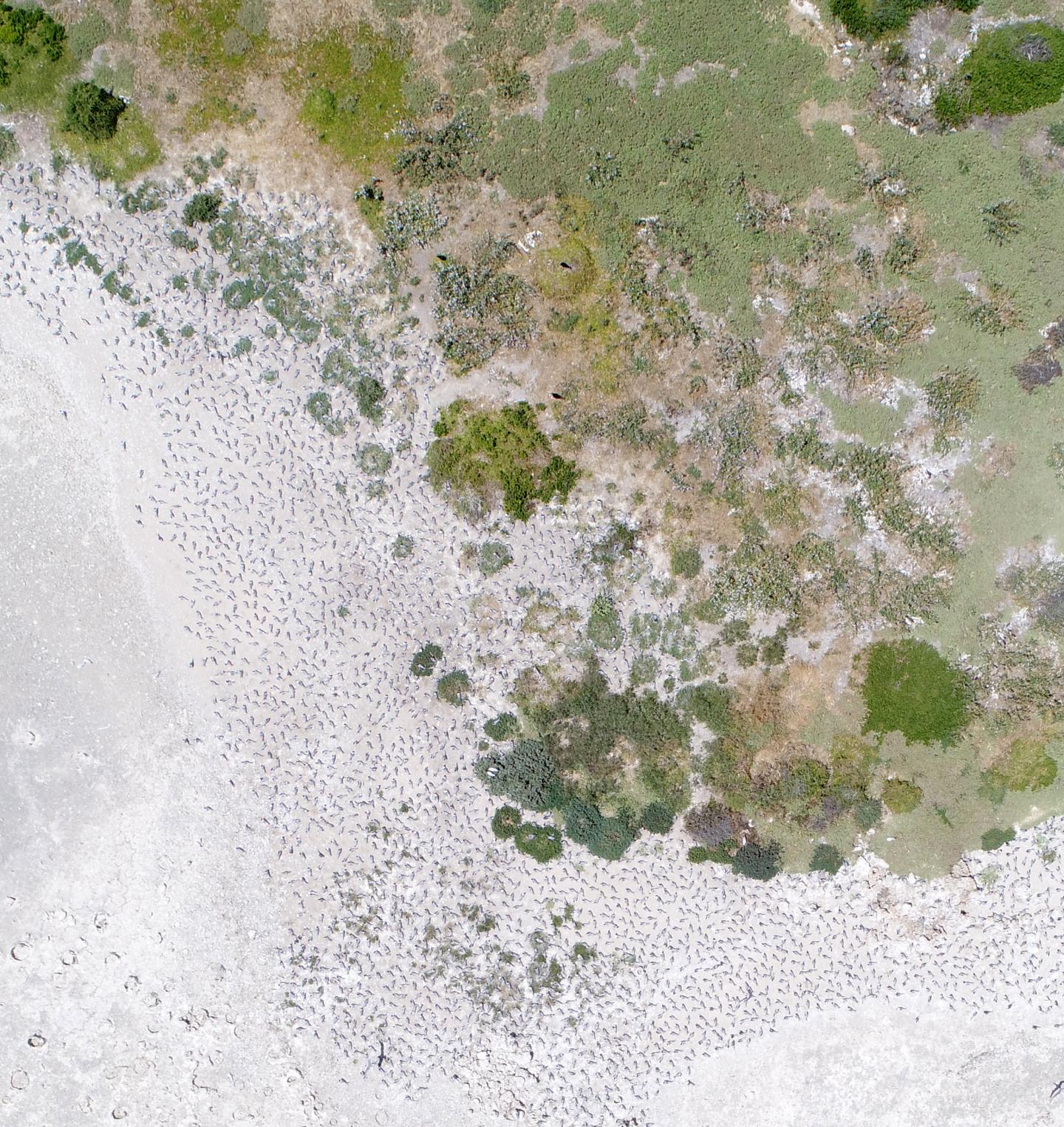 Environmental Monitoring Using Drones
