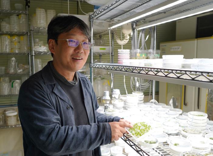 Ishizaki holds a piece of liverwort he cultivated in his laboratory