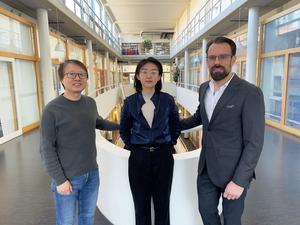 Jianming Sun, Mengyu Pan and Andreas Edsfeldt.