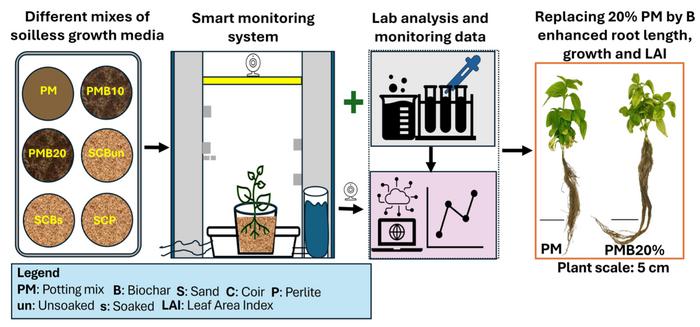 Optimizing sustainable basil cultivation with smart-monitoring: a comparative study of biochar and soilless growth media