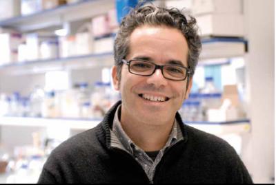 Miguel Soares, Instituto Gulbenkian de Ciencia