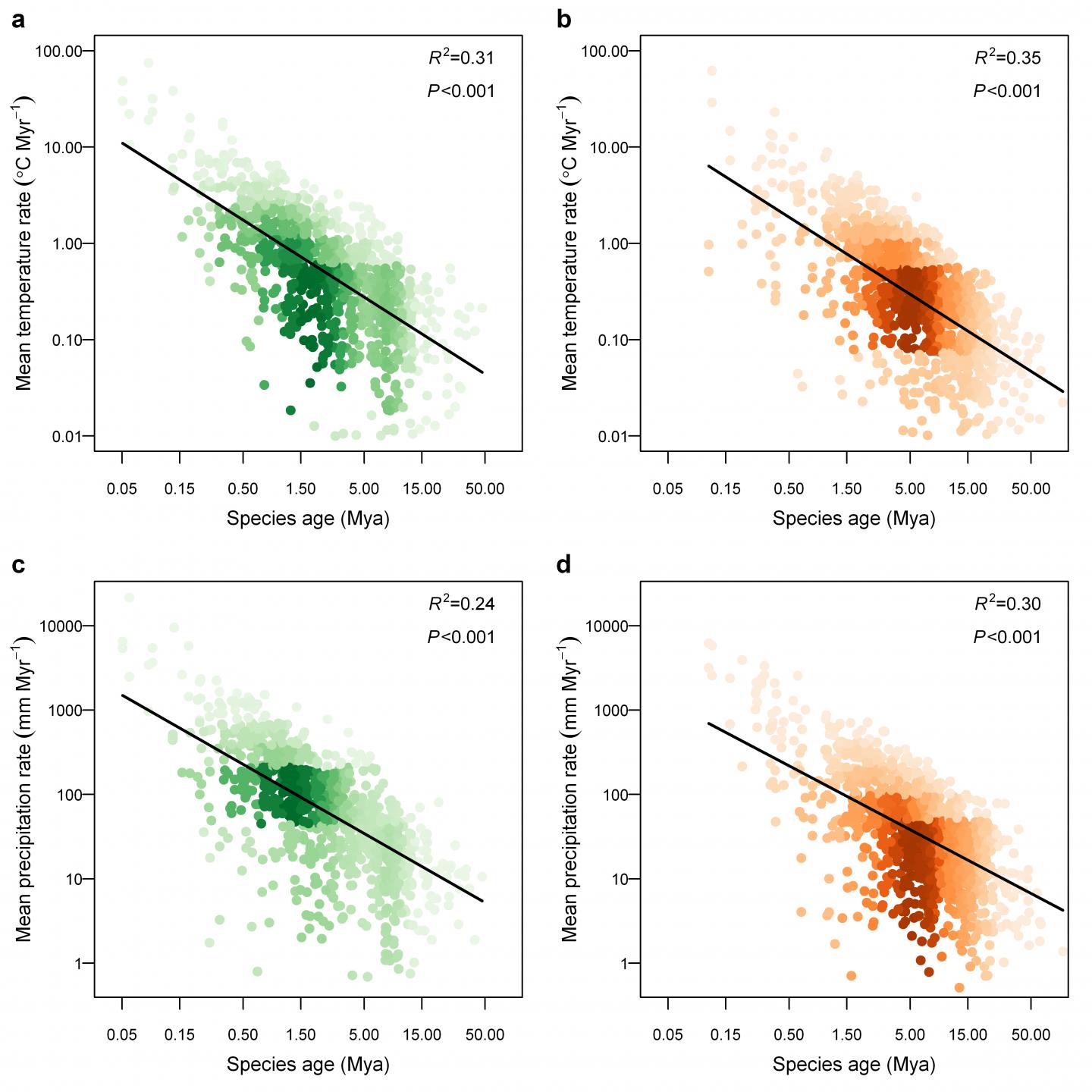 Relationships Between Rates of Climatic-Niche Evolution and Species Age