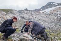 Lichenologists At Work