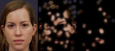 Face Stimuli