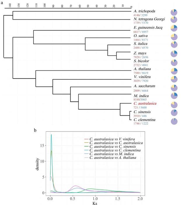 Fig.2