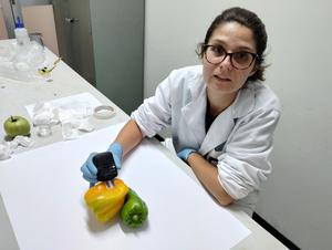 The wearable sensor has the advantage of being applied directly to the sample, since the acetate can take on the shape of the surface