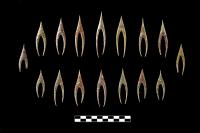 Mylonite Arrowheads