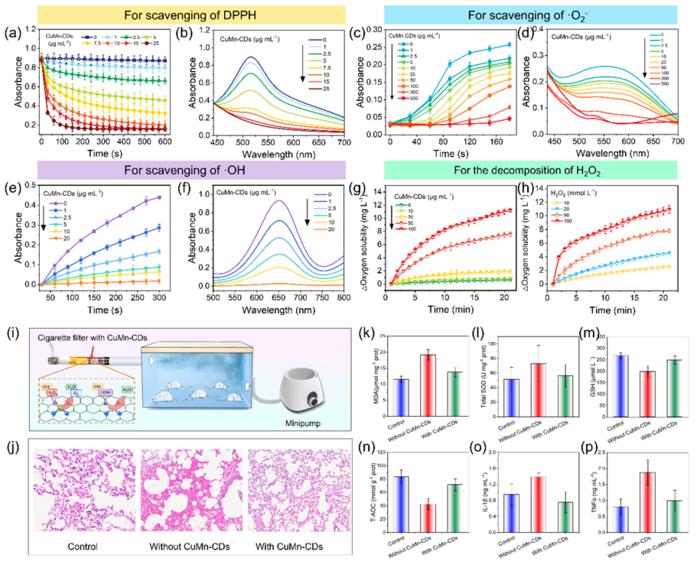 Evaluation of the antioxidant effect of CuMn-CDs and its application in scavenging free radicals in cigarette smoke