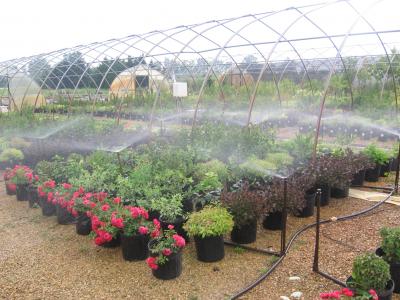 Water-Conserving Irrigation Strategies Minimize Overwatering, Runoff
