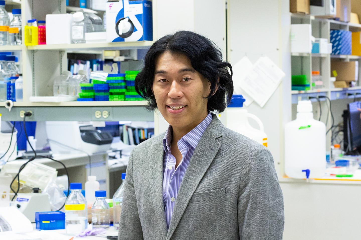 U of A Researchers Developing New 'DNA Stitch' to Treat Muscular Dystrophy