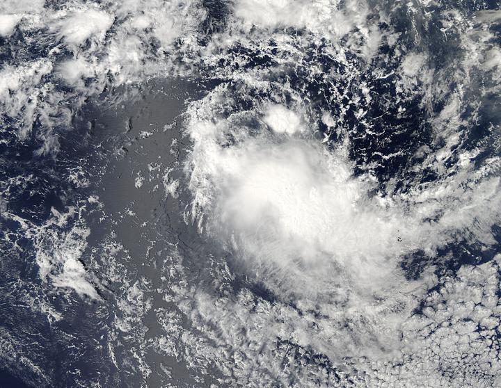 Aqua Image of Bakung