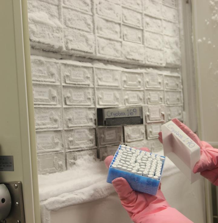 Deep Freeze DNA
