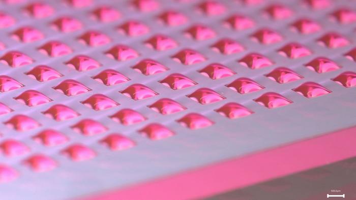 With 200 nanoliters per droplet, up to 1,000 experiments can be conducted on a single chip. The size and number can be further customized. (Photo: Liana Bauer, KIT)