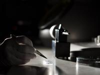 Transmission Electron Microscope
