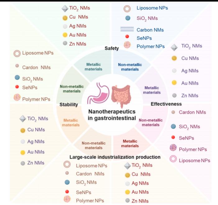 Safety, effectiveness, stability and industrial production capacity of nanomaterials in the GI.