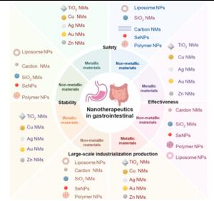 Safety, effectiveness, stability and industrial production capacity of nanomaterials in the GI.