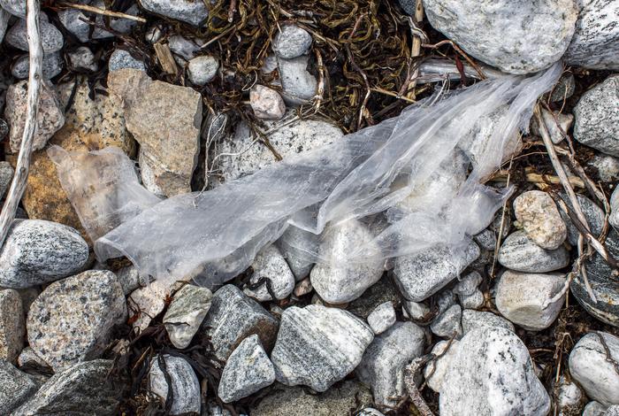 Marine litter in the Arctic