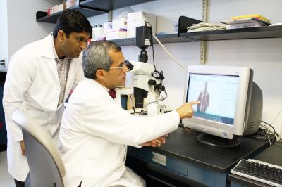 Pranavkumar Shivakumar, Ph.D. and Jorge Bezerra, M.D, Cincinnati Children's Hospital Medical Center