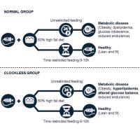 Salk Institute -- Panda lab -- Graphical Abstract