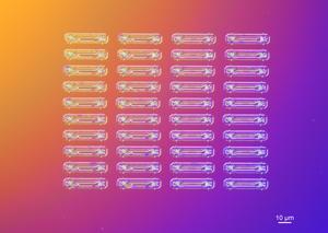 Nanophotonic cavities
