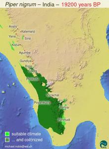 The distribution of the pepper plant from the last Ice Age to the present day.